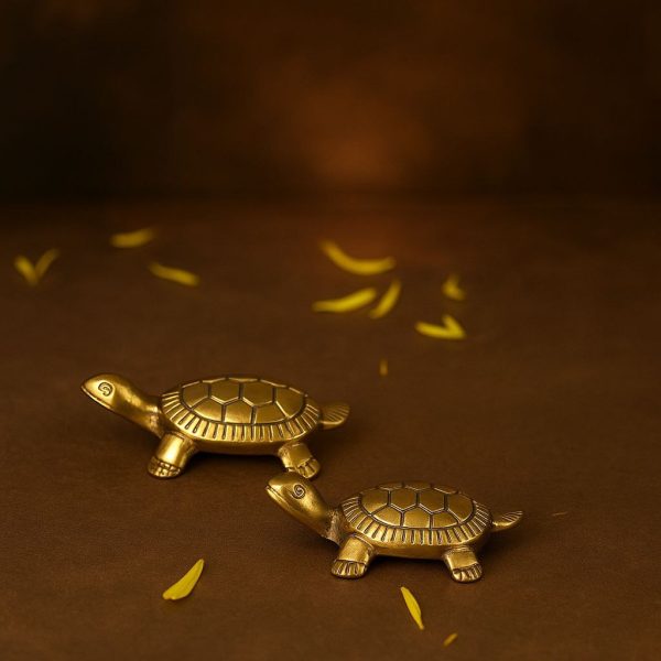 Vastu Tortoise